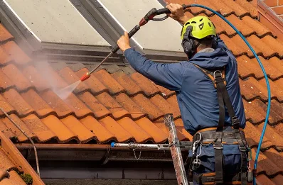 Démoussage et hydrofuge de toiture à Thouron